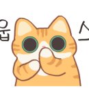 캠퍼커피숍