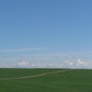 초원의 빛 이미지