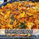 천생산오리사냥 이미지
