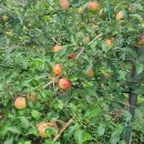 우나멜로팬션 이미지