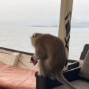 성혜농장 이미지