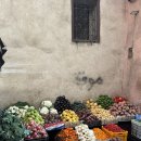 핸섬로스팅 하우스 | 마라케시 마조렐정원.입생로랑 박물관 (예약방법,맛집)