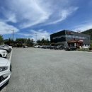 십일남매 이미지