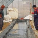 무장초등길 이미지