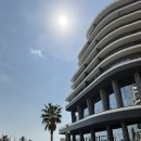 H·Y PALACE 호텔 | 제주 파르나스호텔 프리미어 패밀리 트윈 아기랑 수영장 조식