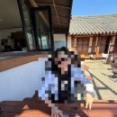 음양지마을경로당 | 무덤 바로 앞 숙소는 음기일까 양기일까?｜경주 한옥숙소 [행복한옥마을 셔블]