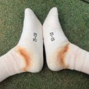 이천시 레이디스컵 &amp; 이천종합운동장 테니스장(전구장) 정보 (ft. 테린이 대회 첫 본선 진출!)
