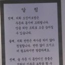 어서오삼겹살 | [홍대 이색 맛집] 주문진 오징어 보쌈