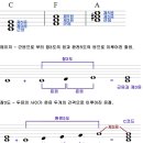 메이져 이미지