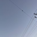 용소캠핑장 이미지