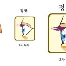 여성목사 장립의 근거, 네덜란드 개혁교회(해방파) 이미지