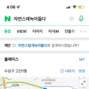자연스레;녹아들다