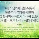 오늘의 '영어성경 사진'(745강) “복있는 사람은 누구일까요?”(시편 1편 3절) 이미지