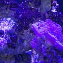 상쾌한연합이비인후과의원 이미지