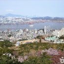 영바이브 이미지