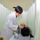 세명한방병원 이미지