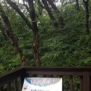 엄광산임도 이미지