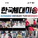 한국체대 점프 태권도장 이미지