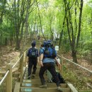 제240-2차 우면산 산행기 - 겨울여행 이미지