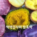 친환경밤호박 이벤트 합니다. 이미지