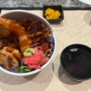 도스트(Doust)