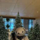 오션메디칼 | 강릉 신라 모노그램 호텔동 디럭스더블오션뷰