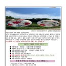 사천기억학교