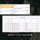 김연아의 국제결혼 이미지