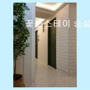 꽃눈스테이