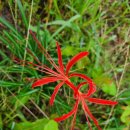 초등 절친 부부와 만남 이미지