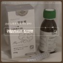카탈리시스