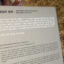 김해김씨 정려 이미지