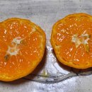 기주농장 이미지