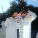 은하농장 | 제주도여행에서 체험관광 은하감귤체험농장 방문하고 느낀 솔직 후기｜옹야는 이렇게, 강추 코스