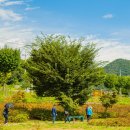 화천산소길 | 화천 산소길 겨울 트래킹, 눈부신 설경 속 힐링 여행
