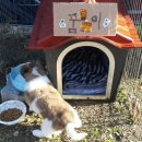 새아리농장 이미지