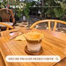 파도식물 | 태안 대형 카페 파도로 어은돌 오션뷰 애견동반 식물 카페