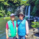 노인회지회 이미지