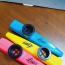 엘림음악교습소 이미지