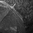 APM 휘트니스 이미지