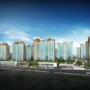 강남-216 이미지