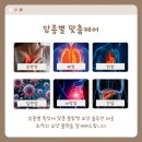 강남센트럴요양병원 이미지