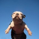 하늘을 날다 이미지