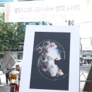 포항국제아트페스티벌 이미지