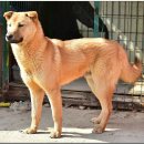 엄마와아들 이미지