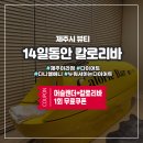 14일동안칼로리바제주아라점