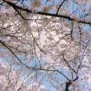 청주성모병원 | 20대 이형성증 제자리암 추적검사 청주 성모병원으로 전원일기