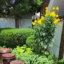 내천농장 이미지