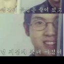 개이득