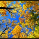 삼육오 (365) 이미지